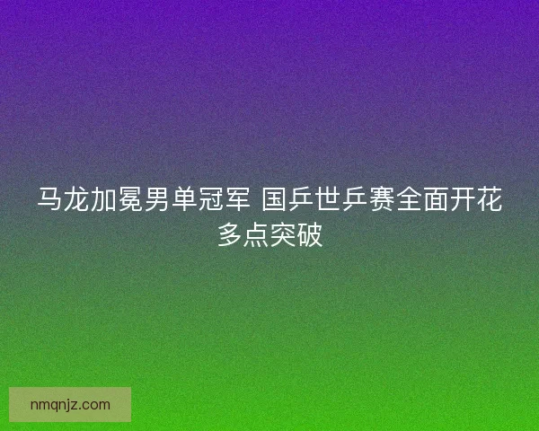 马龙加冕男单冠军 国乒世乒赛全面开花多点突破