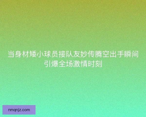 当身材矮小球员接队友妙传腾空出手瞬间引爆全场激情时刻