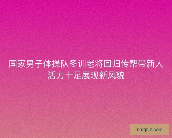 国家男子体操队冬训老将回归传帮带新人活力十足展现新风貌